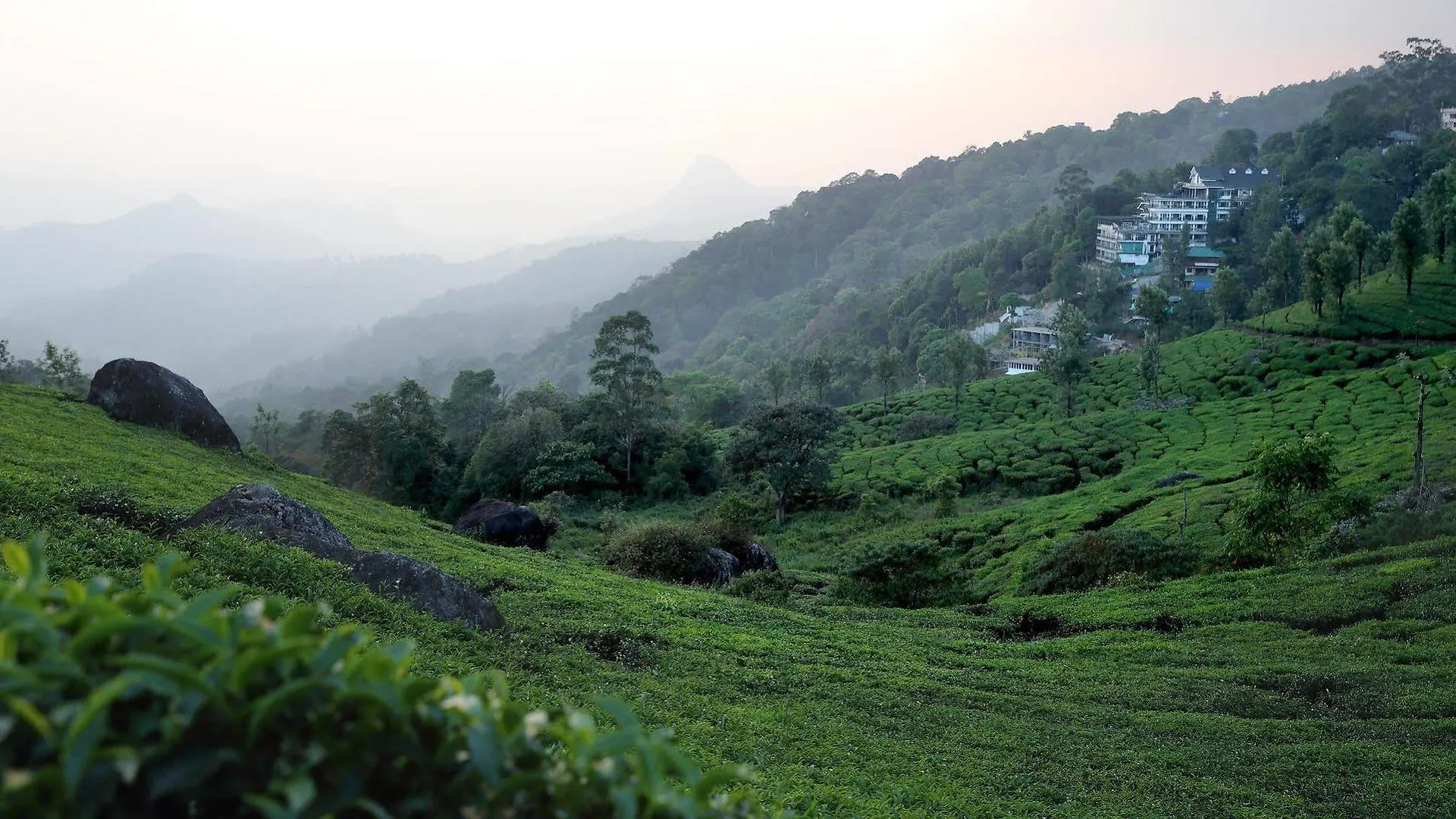 Parakkat Nature Resorts Munnar India